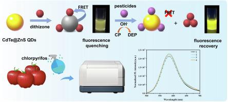 CdTe@ZnS quantum dots for rapid detection of organophosphorus pesticide in agricultural products