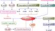 Unraveling the mechanistic interplay of mediators orchestrating the neuroprotective potential of harmine.