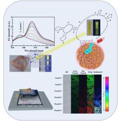 Recognition and detection of histamine in foods using aptamer modified fluorescence polymer dots sensors