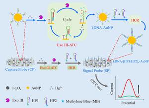 Triple signal amplification electrochemical sensing platform for Hg2+ in water without direct modification of the working electrode