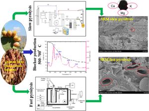 Impact of pyrolysis process conditions on the features of the biochar from Opuntia ficus indica fruit peels