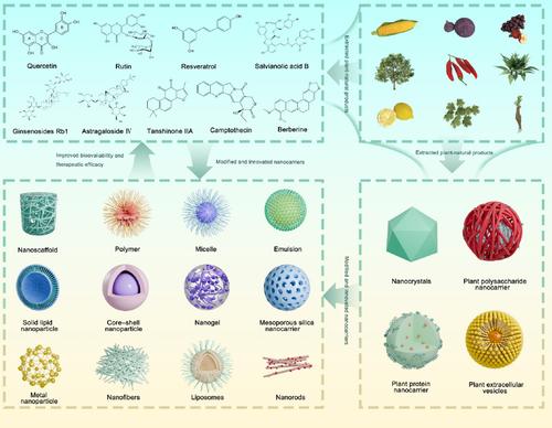 The development of nanocarriers for natural products.