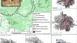 Abiotic Factors Modify Ponderosa Pine Regeneration Outcomes After High-Severity Fire