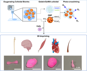 An oxygenating colloidal bioink for the engineering of biomimetic tissue constructs