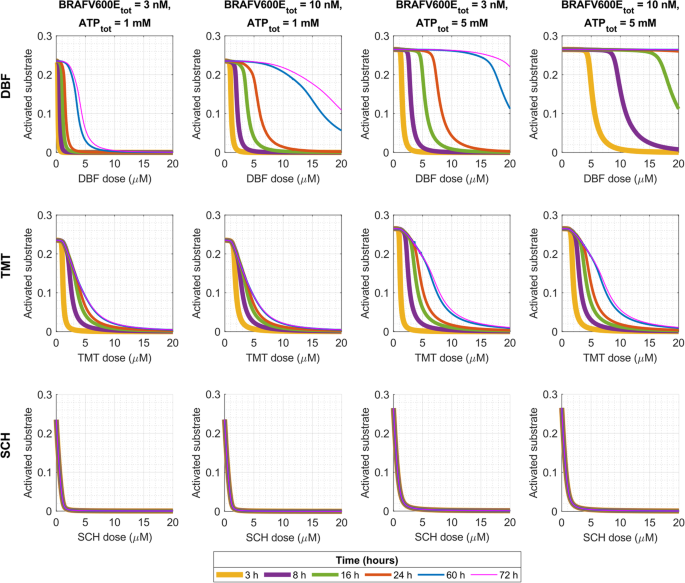 Simulating BRAFV600E-MEK-ERK signalling dynamics in response to vertical inhibition treatment strategies.