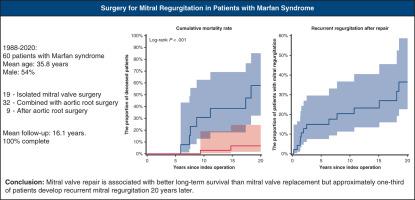 Mitral valve surgery in patients with Marfan syndrome