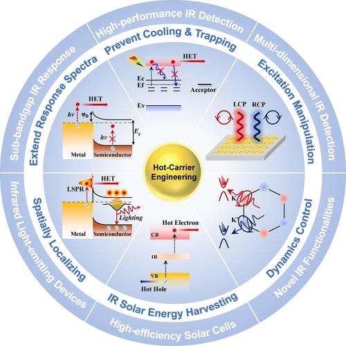 Hot‐carrier engineering for two‐dimensional integrated infrared optoelectronics