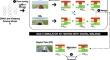 Two is better than one: digital siblings to improve autonomous driving testing