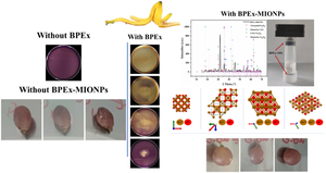 Innovative Agrowaste Banana Peel Extract-Based Magnetic Iron Oxide Nanoparticles for Eco-Friendly Oxidative Shield and Freshness Fortification