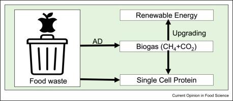 Microbial upcycling of food waste using anaerobic digestion for energy and single cell protein production