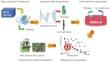 A multi-objective optimization based on machine learning for dimension precision of wax pattern in turbine blade manufacturing