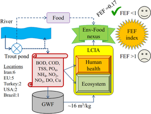 Environment-food nexus in trout ponds: a developed index by combining grey water footprint and life cycle assessment