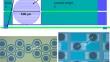 Parallel-Plate Capacitor Titanium Nitride Kinetic Inductance Detectors for Infrared Astronomy