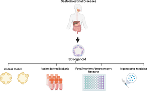 Translational Utility of Organoid Models for Biomedical Research on Gastrointestinal Diseases.