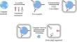 Molecularly Imprinted Polymers Coupled with Cellulosic Paper-Based Analytical Devices for Biosensing Applications