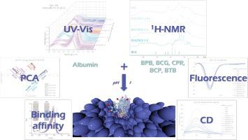 Exploring albumin-sulfonephthalein dyes interactions by a chemometric-assisted and multi-technique equilibria analysis in solution.