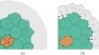 Morphological Stability for in silico Models of Avascular Tumors.