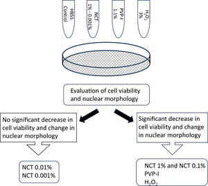 Tolerability of N-chlorotaurine in comparison with routinely used antiseptics: an in vitro study on chondrocytes.