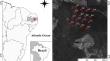 Rainy season decreases ground-dwelling ant richness, but increases the difference in species composition in a tropical relictual mountain forest