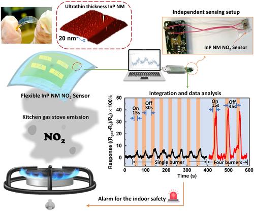 Ultrasensitive Indium Phosphide Nanomembrane Wearable Gas Sensors