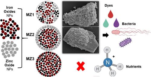 Zinc Oxide/Iron Oxide Nanocomposites for Photodegradation and Adsorption of Pollutants in Water
