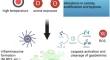 Potential Impact of Climate Change-Induced Alterations on Pyroptotic Cell Death in Animal Cells: A Review.