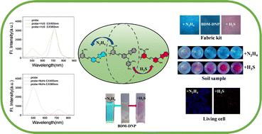 A dual-color ESIPT-based probe for simultaneous detection of hydrogen sulfide and hydrazine†