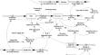 Resilience through appropriate response: a simulation study of disruptions and response strategies – case COVID-19 and the grocery supply chain