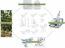 Simultaneous characterization and quantification of 25 flavonoid compounds in Actinidia arguta Miq. leaves by HPLC-DAD and screening for their inhibitory activity on α‑glucosidase