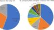 Next generation sequencing panel as an effective approach to genetic testing in patients with a highly variable phenotype of neuromuscular disorders.