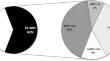 Insight into the Relationship Between Motor and Cognitive Symptoms in Essential Tremor.