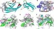 Understanding the interactions between repurposed drugs sertindole and temoporfin with receptor for advanced glycation endproducts: Therapeutic implications in cancer and metabolic diseases