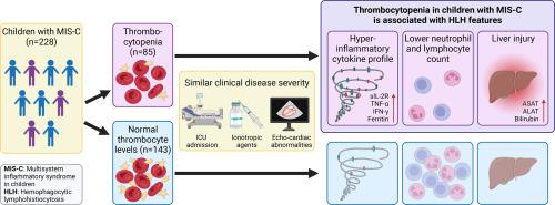 Serum proteomics reveals hemophagocytic lymphohistiocytosis-like phenotype in a subset of patients with multisystem inflammatory syndrome in children