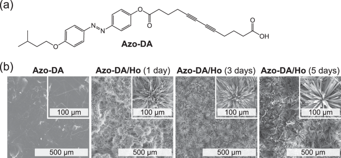 Changes in crystal morphology induced by lanthanide doping into diacetylene lamellar crystals