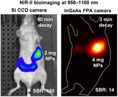 Deep-tissue NIR-II bioimaging performance of Si-based and InGaAs-based imaging devices using short-wave infrared persistent luminescence†