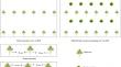 Effect of Michelia macclurei intercropping on soil properties and microbial population in young rubber plantation