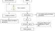 Peripheral Blood Lymphocyte Subsets and Heterogeneity of B Cell Subsets in Patients of Idiopathic Inflammatory Myositis with Different Myositis-specific Autoantibodies.