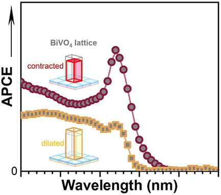 Tuning the Optical and Photoelectrochemical Properties of Epitaxial BiVO4 by Lattice Strain