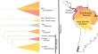 Phylogenetic evidence reshapes the taxonomy of Cacao and its allies (Theobroma and Herrania; Malvaceae, Byttnerioideae)