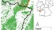 Status assessment of a recently reintroduced eurasian lynx (Lynx lynx) population in the Palatinate Forest, South-West Germany