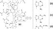 Characterization of vitamin B12 compounds from traditional fermented Japanese seafoods