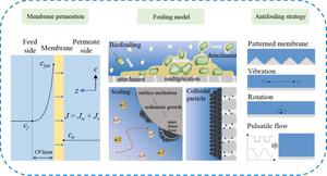 A review of CFD simulation in pressure driven membrane with fouling model and anti-fouling strategy