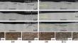 Research on Mechanical Properties and Corrosion Behavior of (Co34Fe8Cr29Ni8Si7)100−xBx High Entropy Alloy Coating