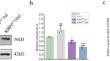 RBPJ Knockdown Promotes M2 Macrophage Polarization Through Mitochondrial ROS-mediated Notch1-Jagged1-Hes1 Signaling Pathway in Uveitis.