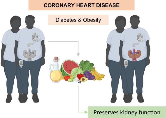 Mediterranean diet as a strategy for preserving kidney function in patients with coronary heart disease with type 2 diabetes and obesity: a secondary analysis of CORDIOPREV randomized controlled trial.