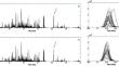 Using volatile compounds for the identification of coffee adulterants: marker compounds and non-targeted analysis