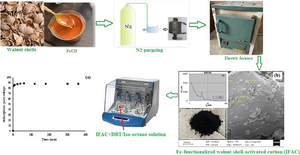 Fe-functionalized walnut shell–activated carbon for the facile desulfurization of liquid fuels