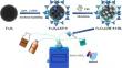 Preparation of biodiesel catalyzed by immobilized lipase in magnetic ZIF-8 nanomaterial