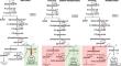 Investigating the influence of Saccharomyces cerevisiae on microbial fuel cell performance through bioelectrochemical and biochemical approaches under varied operating conditions