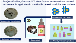 Lactiplantibacillus plantarum OL5 biosurfactants as alternative to chemical surfactants for application in eco-friendly cosmetics and skincare products.